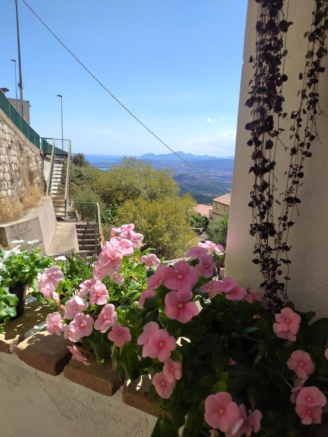 Steddueoro Bed & Breakfast Baunei Bagian luar foto