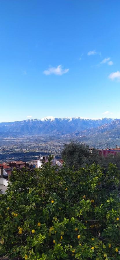 Steddueoro Bed & Breakfast Baunei Bagian luar foto