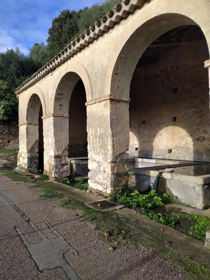 Steddueoro Bed & Breakfast Baunei Bagian luar foto